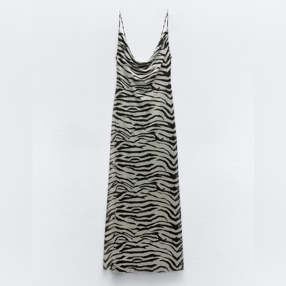 Zara zebra dress!